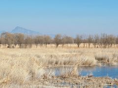 -野鸭湖国家湿地公园