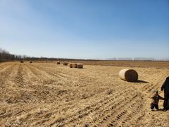 -村长家的疙瘩汤·东营菜(东营茶城店)