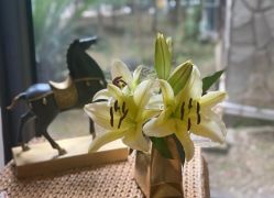 -JC·YOGA静禅瑜伽普拉提