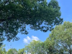 -苏州青少年科技馆