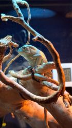 -Zoolung Zoolung动物主题公园(海信广场店)