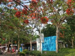 -白沙门生态公园