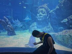 -暹罗海洋世界