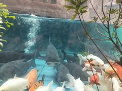 -忆江南·临江鱼馆