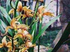 -成都杜甫草堂博物馆