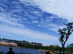 -上海长兴岛郊野公园