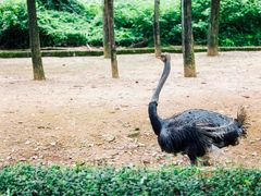 -杭州野生动物世界