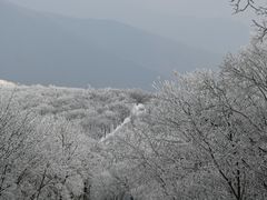 -安吉龙王山风景区