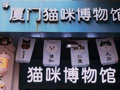 -猫咪博物馆(顶澳仔猫街店)