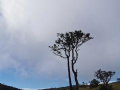 -霍顿平原国家公园