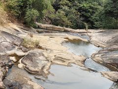 -广州白江湖森林公园