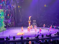 -广州长隆国际大马戏