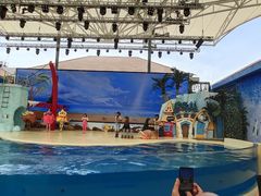 -三亚海昌梦幻海洋不夜城