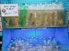 -双天海鲜楼