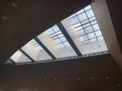 -重庆市奥林匹克体育中心-游泳跳水馆