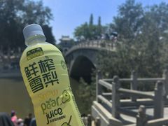 -赵州桥景区