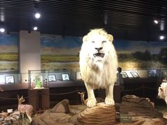 -陕西自然博物馆