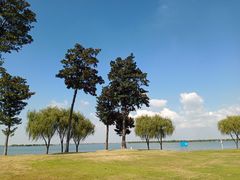 -漕湖湿地公园