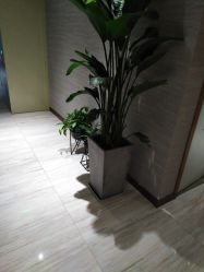 -苑苑vbeauty科技美容SPA