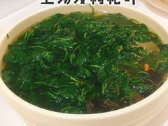 -山泉公馆酒家(珠江新城店)