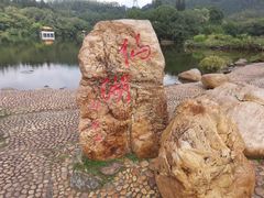 -深圳仙湖植物园