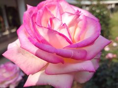 -人民公园(罗湖区)