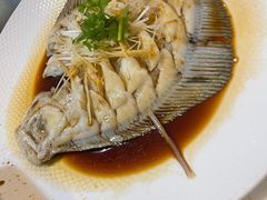 清蒸多宝鱼-韩记海鲜饺子旗舰店(红海新区店)