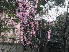 -广东煲仔饭