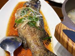 清蒸石斑鱼-达叔香味海鲜(海棠68环球美食街店)