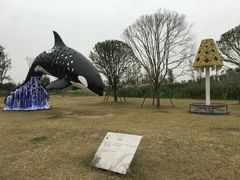 -白鹭湾湿地公园