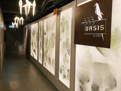 -Oasis Bar & Grill