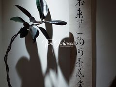 -本無咖啡·BeanWood Coffee