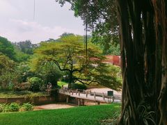 -广州雕塑公园