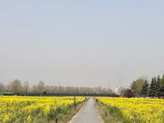 -汉长安城未央宫国家考古遗址公园