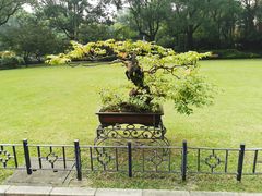 -申粤轩酒楼·三十年粤菜经典(丁香花园店)