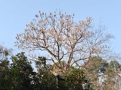 -南宋胡记(杭州灵隐寺店)