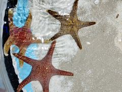 -绿色星球动物主题公园