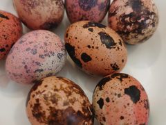 -大蓉和(双楠店)