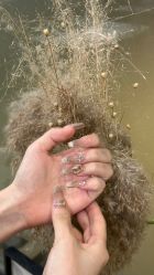 -StartNail美甲