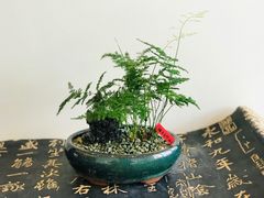 -天后宫民俗文化街