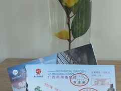 -广西壮族自治区药用植物园