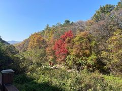-三块石国家森林公园