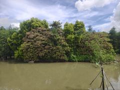 -广州市第二少年宫