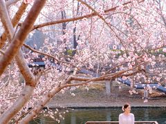 -安定门(地铁站)