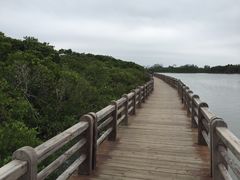 海上栈道-东寨港红树林旅游区