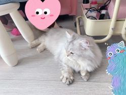 -Beauty Nails 美甲美睫皮肤管理