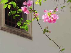 -深圳国际园林花卉博览园