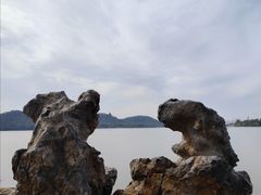 -东湖落雁景区