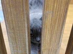 -龟与熊猫宠物公园(南坪店)