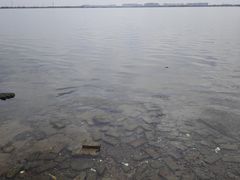 -漕湖湿地公园